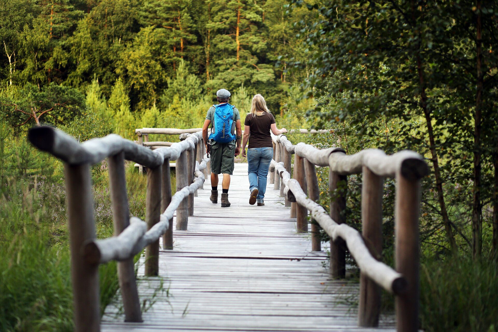 Ein malerischer Wanderweg führt durch die üppige Natur, umgeben von hohen Bäumen und sanften Hügeln. Die frische Luft und das Zwitschern der Vögel schaffen eine entspannende Atmosphäre, die zum Verweilen einlädt. Hier erleben Wanderer die Schönheit des Naturparks in vollen Zügen.