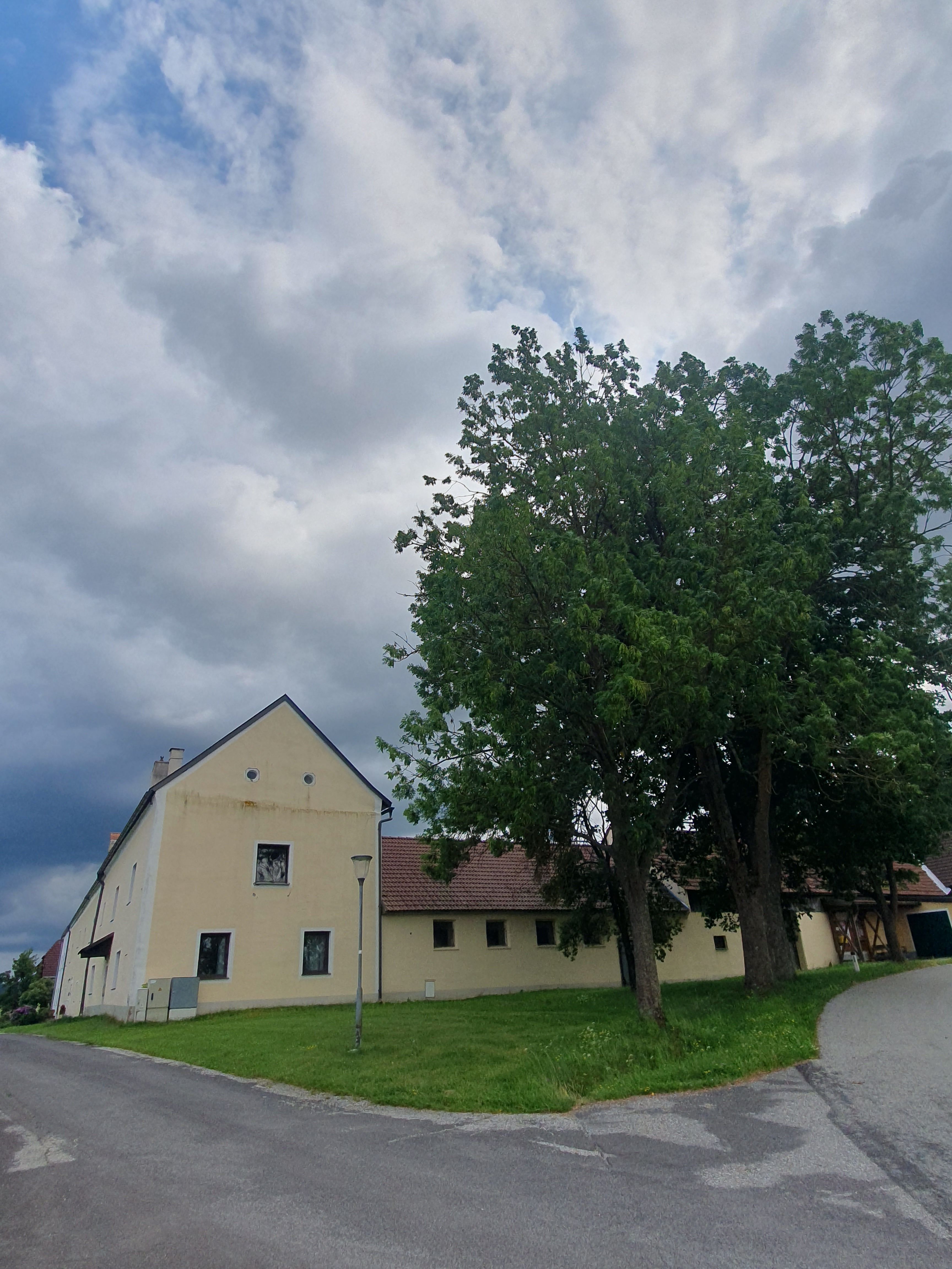Hof hinter Baum