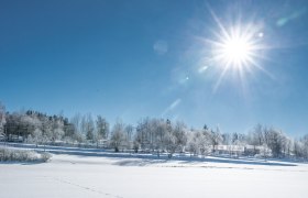 Winterlandschaft im Waldviertel, © Waldviertel Tourismus, Robert Herbst