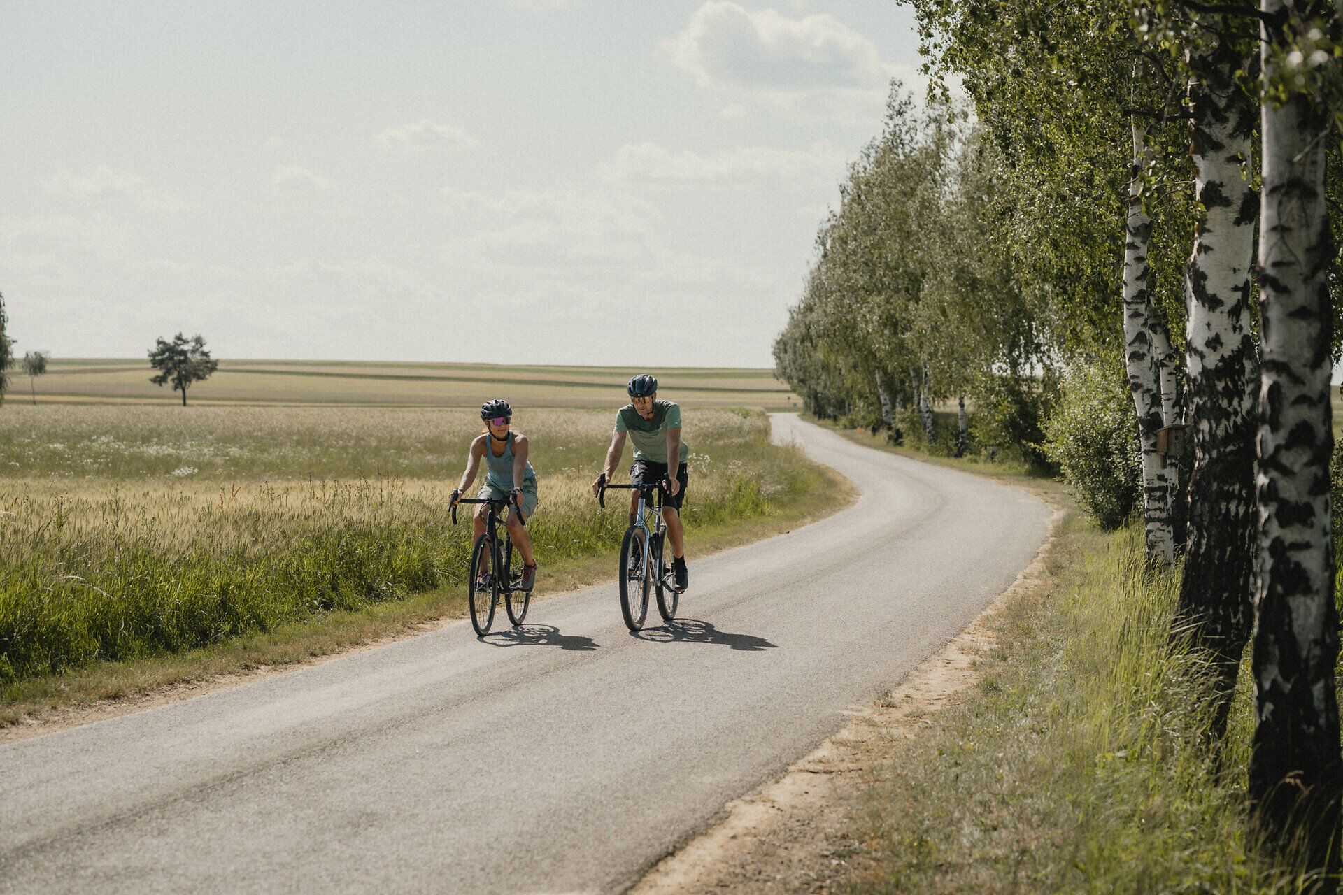 Zwei Radfahrer fahren im Sommer entlang einer Straße, neben ihnen auf der einen Seite eine Baum-Allee, auf der anderen blühende Felder