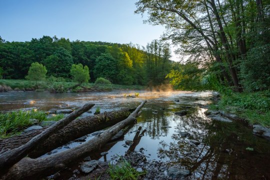 Nationalpark Thayatal, © NPT Rupert Kogler