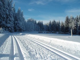 Br&uuml;ndl Au, &copy; &copy; Gustl Marschall sen.
