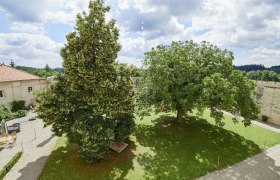 blick_auf_klosterhof_c_schewig_dieter, © Schewig Dieter