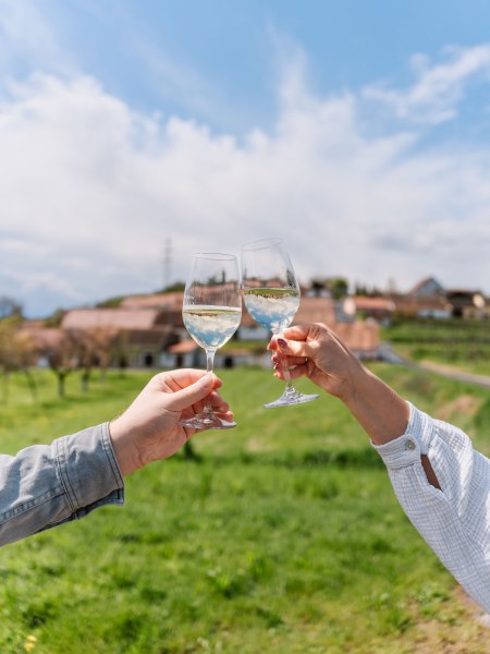 Weinfrühling, © Waldviertel Tourismus, @nadinechristine