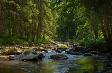 Zwettltal, © Matthias Schickhofer