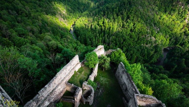 Die Ruine Schauenstein thront majest&auml;tisch &uuml;ber dem &uuml;ppigen Gr&uuml;n des Waldes und bietet einen atemberaubenden Blick auf die sanften H&uuml;gel der Umgebung. Hier, wo die Natur und Geschichte aufeinandertreffen, sp&uuml;rt man die Ruhe und den Zauber vergangener Zeiten. Ein idealer Ort f&uuml;r Wanderer und Naturliebhaber, die die Sch&ouml;nheit der Landschaft genie&szlig;en m&ouml;chten.