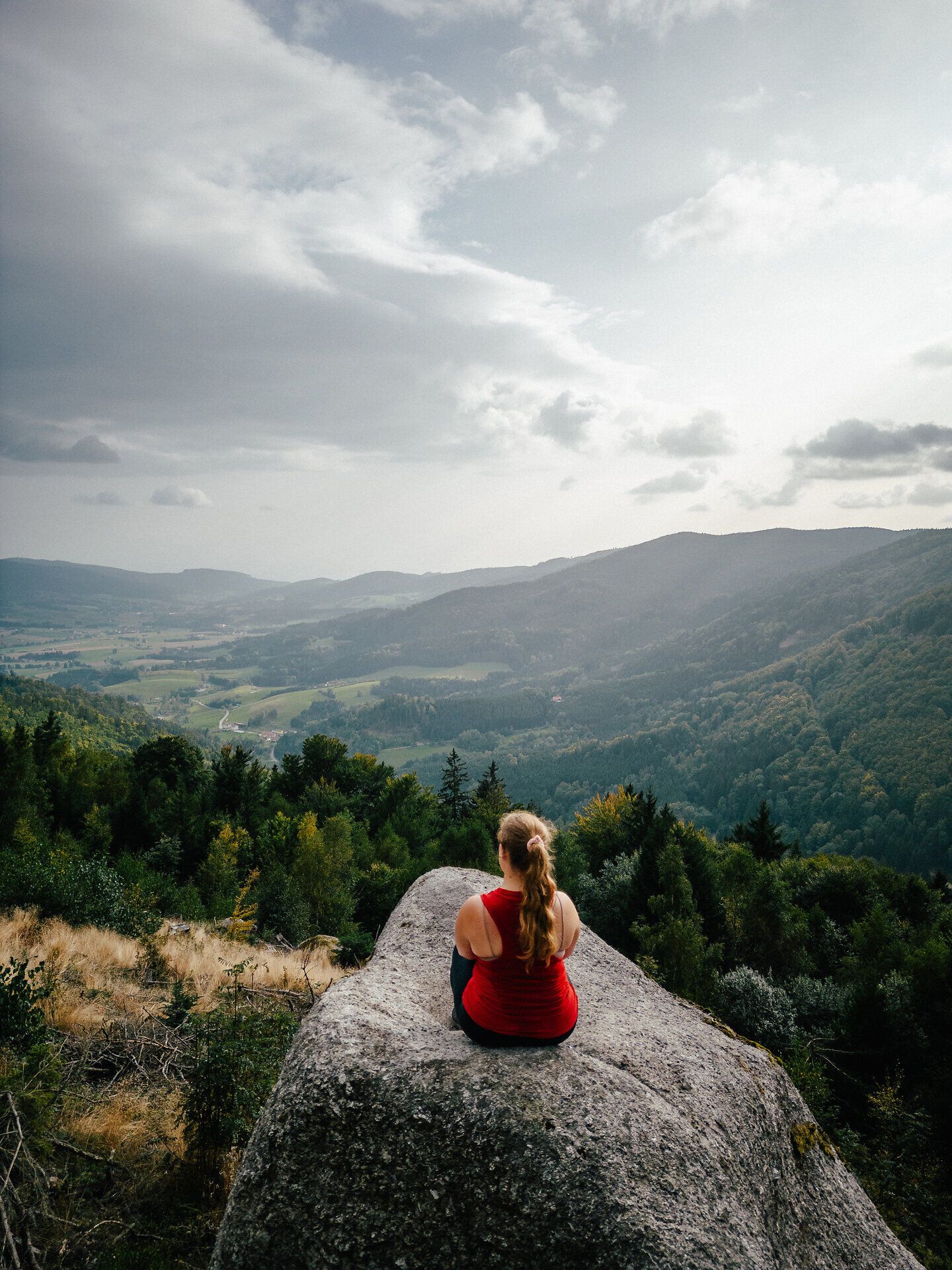 Inmitten der majestätischen Berge bietet sich ein atemberaubender Blick auf die sanften Hügel und dichten Wälder des Yspertals. Die ruhige Atmosphäre lädt dazu ein, die Seele baumeln zu lassen und die Schönheit der Natur zu genießen.