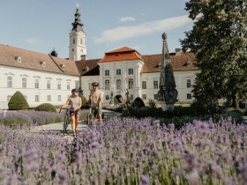 Kamp-Thaya-March Radroute, &copy; Waldviertel Tourismus, Patrick Wasshuber