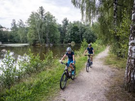 Rad fahren, Wasserlandschaftsradweg, Waldviertel, Naturpark Blockheide, &copy; velontour.at