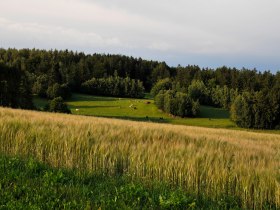 Foto: Archiv Waldviertel Tourismus, &copy; Waldviertel Tourismus