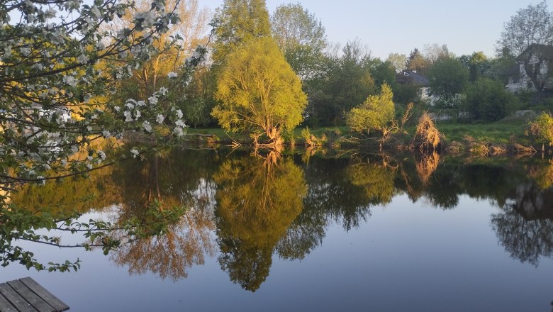 Ein ruhiger See mit Bäumen und deren Spiegelung im Wasser, umgeben von blühenden Zweigen.