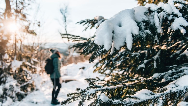 Verschneiter Tannenbaum im Vordergrund, Person im Hintergrund auf einem winterlichen Waldweg.