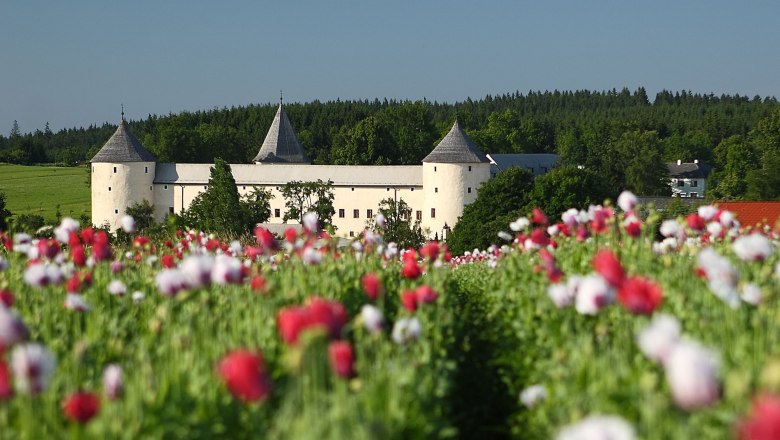 Schloss Ottenschlag, © Martin Rehberger