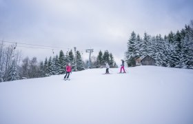 Skifahren Arralifte Harmannschlag, © Waldviertel Tourismus, Robert Herbst