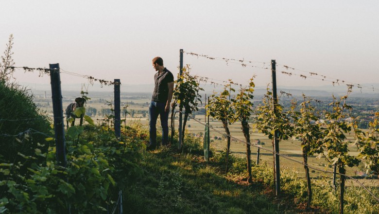 Weingut Allram, &copy; Hasselblad X1D