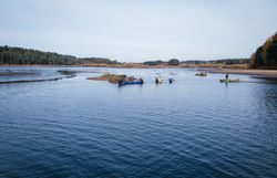 In der ruhigen Wasserlandschaft des Waldviertels sind Angler mit Geduld und Geschick am Werk, um die schimmernden Karpfen zu fangen. Umgeben von sanften Hügeln und üppigem Grün, vermittelt die Szenerie ein Gefühl von Harmonie und Naturverbundenheit. Hier, wo die Zeit stillzustehen scheint, wird das Angeln zu einem meditativen Erlebnis.