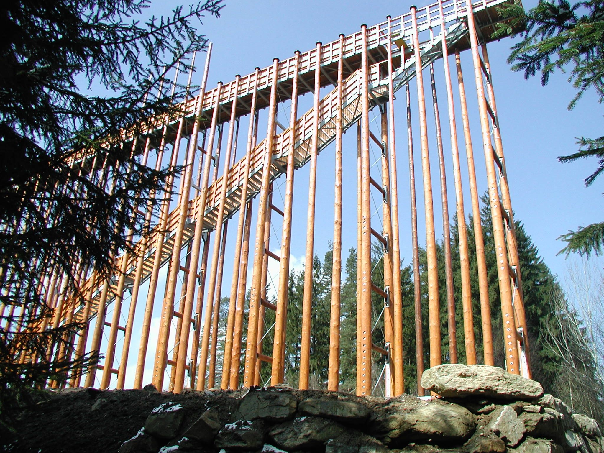 Holzkonstruktion mit Treppe in einem Waldgebiet.