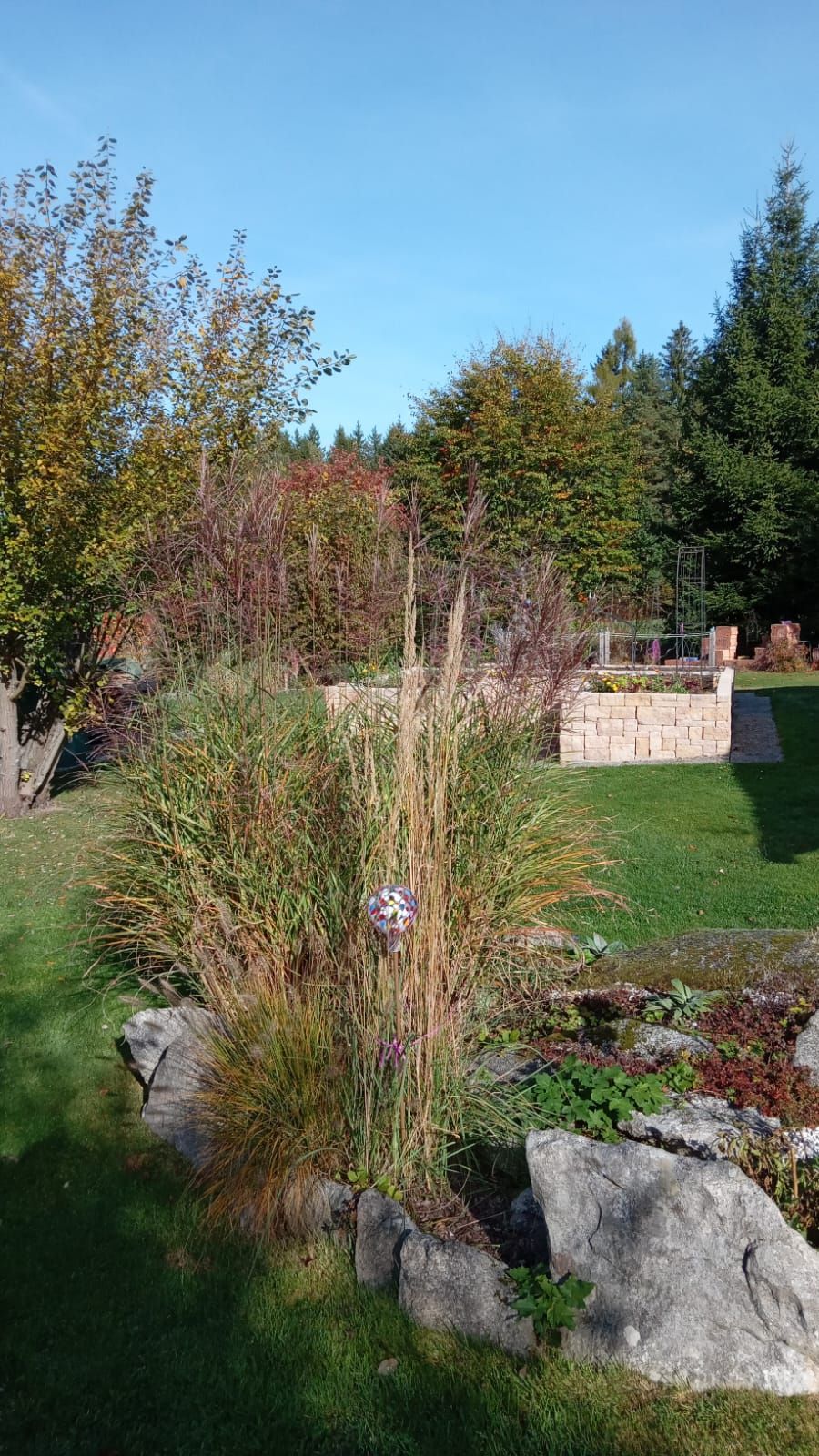 Ein Garten mit hohen Gräsern, Bäumen und einem Steingarten unter blauem Himmel.