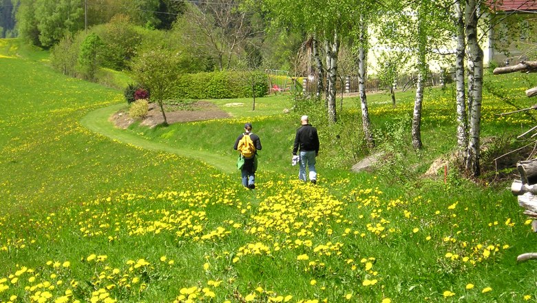 Fruehlingswanderung, &copy; Bertl