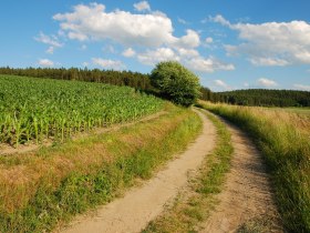 Foto: Archiv Waldviertel Tourismus; Foto: Reinhard Mandl, &copy; Waldviertel Tourismus
