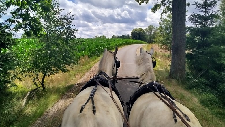 Traum, © Sonja Högler