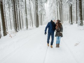 Winterwandern durch die Wälder, © Waldviertel Tourismus, Studio Kerschbaum
