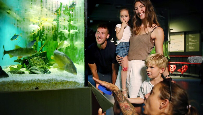 Eine Familie betrachtet ein Aquarium mit Fischen in einem Museum.