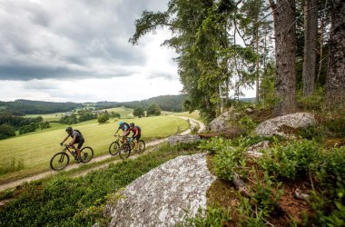 Granittrail, © Waldviertel Tourismus, Erwin Haiden