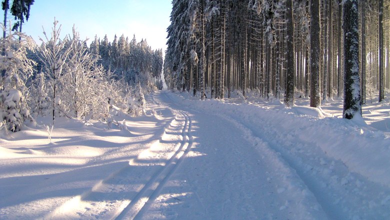 Langlaufen in Ottenschlag, © Gemeinde Ottenschlag