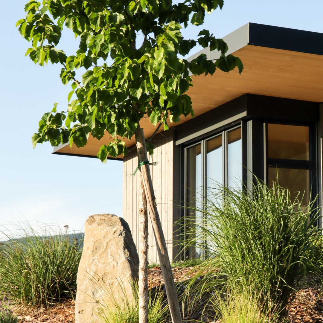 Moderne Lodge mit Holzverkleidung, umgeben von Bäumen und Gras.