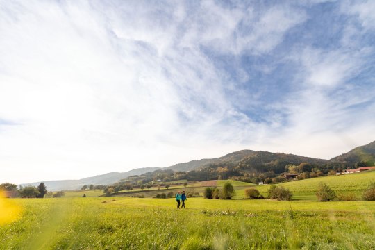 Wandern am Lebensweg, © Lebensweg, Studio Kerschbaum