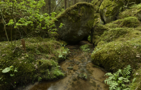 Teufelsmühle bei Bruderndorf, © Matthias Schickhofer