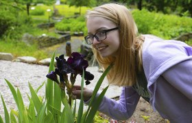 Eine Person mit Brille betrachtet eine dunkelviolette Blume in einem Garten.