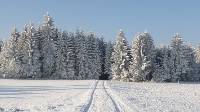 winter_maerchenwald, © Franz Prinz