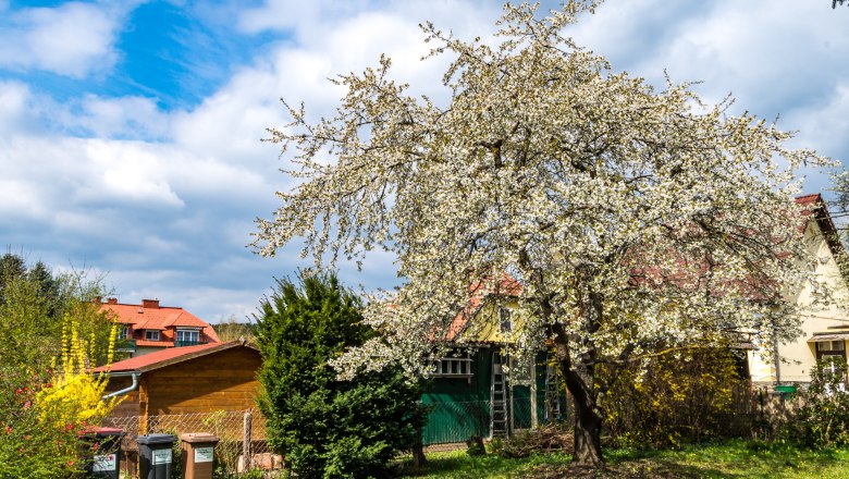 Weitläufiger Garten, © Fotograf Gernot Unfried