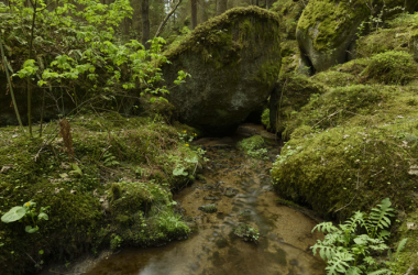 Teufelsmühle bei Bruderndorf, © Matthias Schickhofer