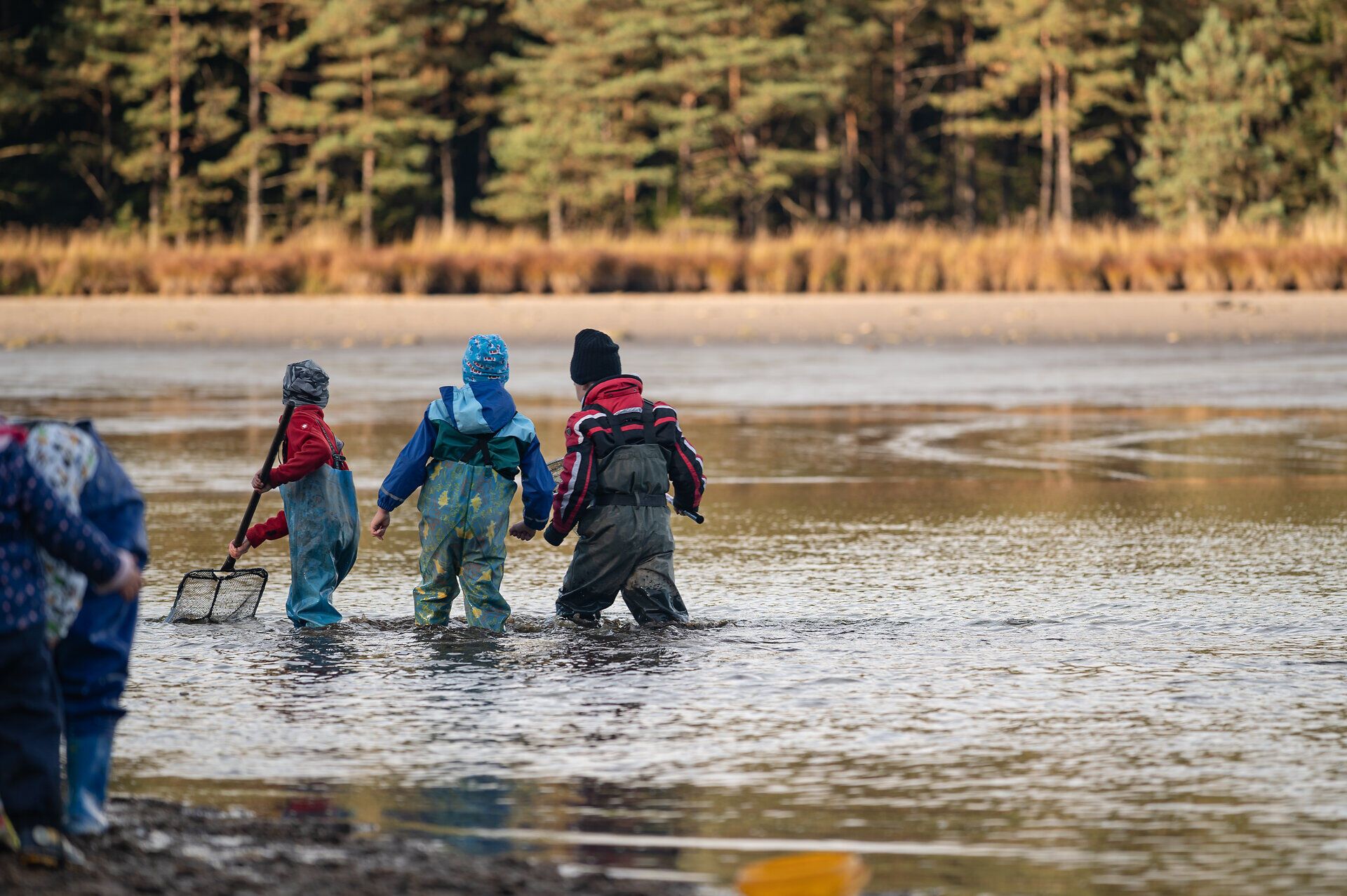 Kinder waten fröhlich im flachen Wasser des Bruneiteichs, während sie mit Netzen nach Karpfen suchen. Umgeben von der ruhigen Natur und den sanften Klängen des Wassers, erleben sie einen unvergesslichen Tag voller Freude und Entdeckung.