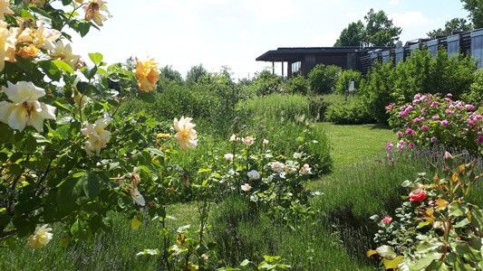 Kräutergarten beim Nationalparkzentrum Thayatal