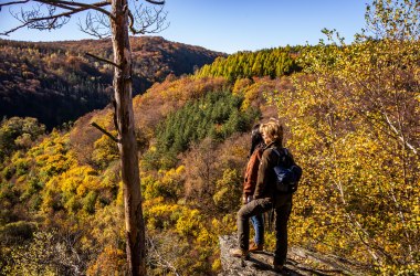 Nationalpark Thayatal, © Waldviertel Tourismus, Robert Herbst