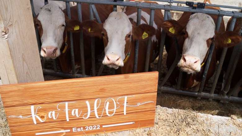 KaFaHof, © Martina Falkner KaFaHof, © Martina Falkner