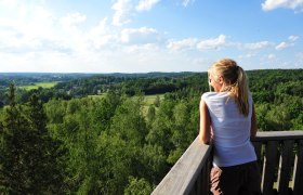 Blockheide Nature Park, © Waldviertel Tourismus, Robert Herbst