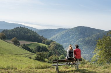 Blick ins Weitental, © Waldviertel Tourismus, Studio Kerschbaum