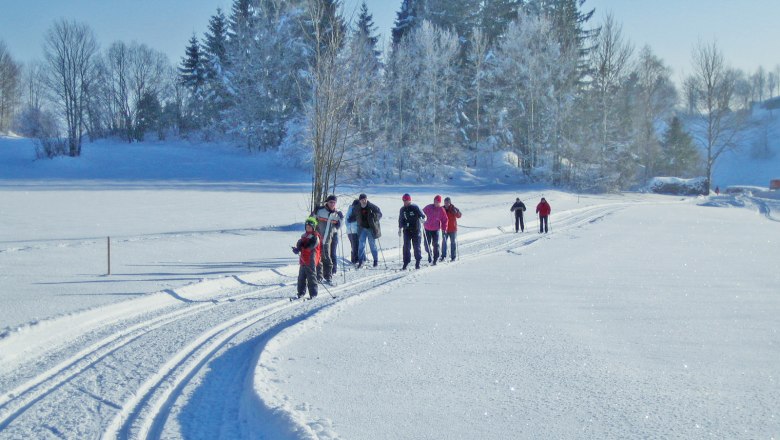 Gruppe von Langl&auml;ufern auf einer verschneiten Loipe in einer Winterlandschaft.