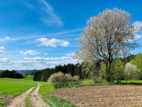 Weitra, © Dr. Markus Peham