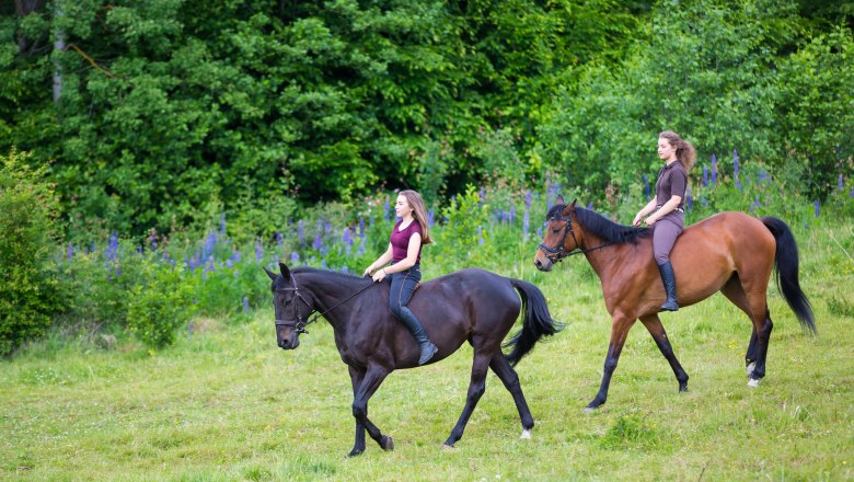 Reiten im Waldviertel, © Castenoid, Fotolia.com