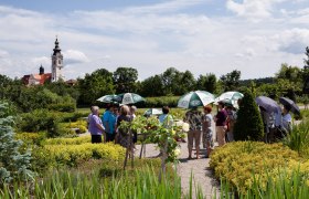 Stiftsg&auml;rten Altenburg, &copy; Stift Altenburg, Schewig Fotodesign