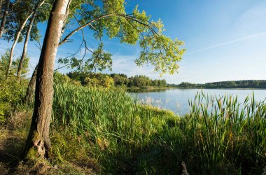 Ottensteiner Teichplatte, © Waldviertel Tourismus, Matthias Schickhofer