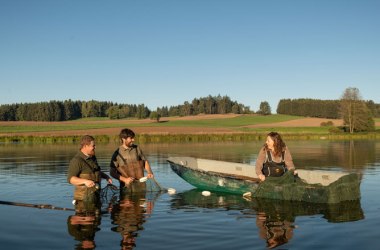 Abfischen am Bruneiteich, © Waldviertel Tourismus, Studio Kerschbaum