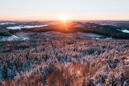 Winterwandern, © Waldviertel Tourismus, sommertage.com