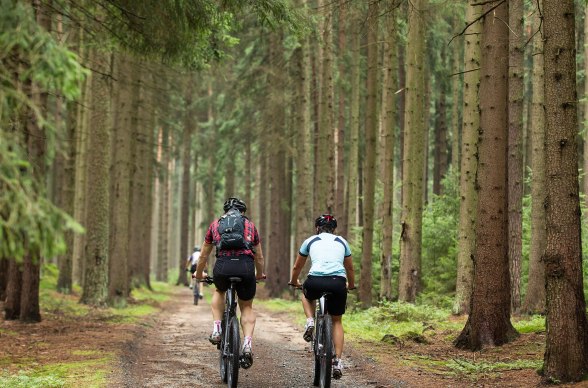 Mountainbiken, © Erwin Haiden, nyx.at